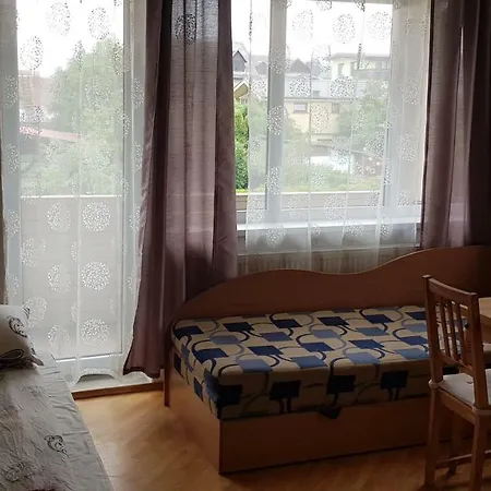 Livingpalanga- Meta12 * Паланга