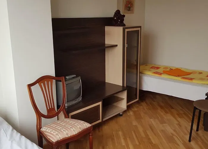 Livingpalanga- Meta12 帕兰加